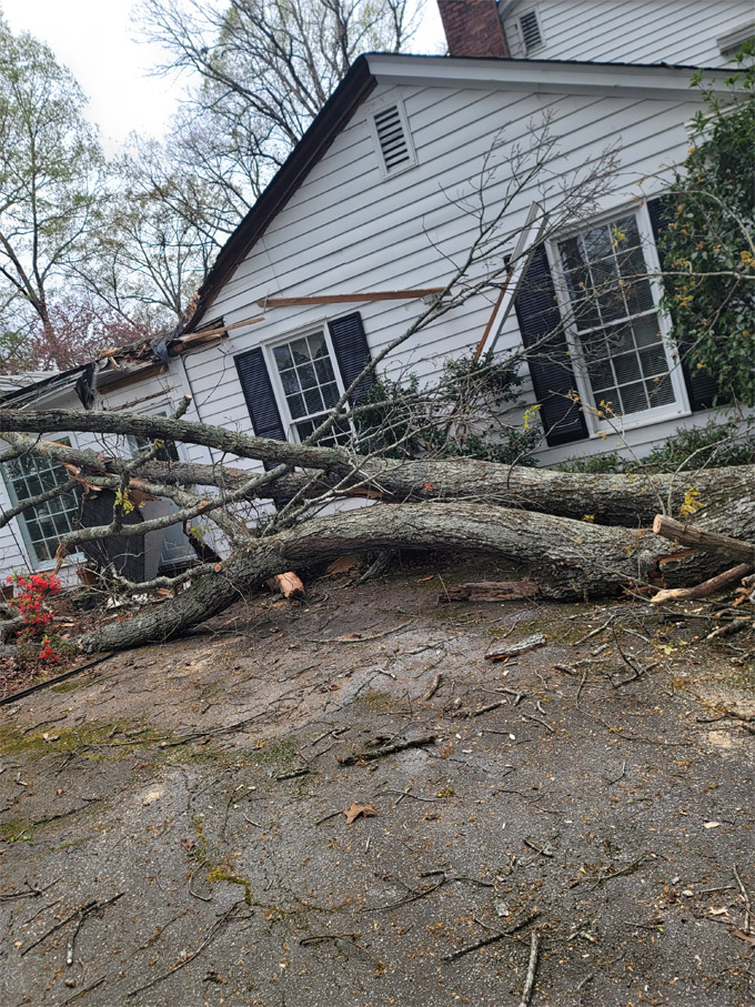 Emergency Tree Service Loganville GA